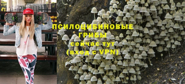 2c-b Абинск